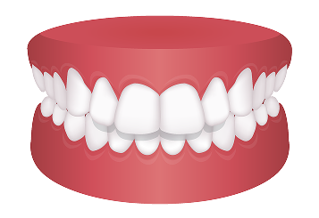orthodontics_image05